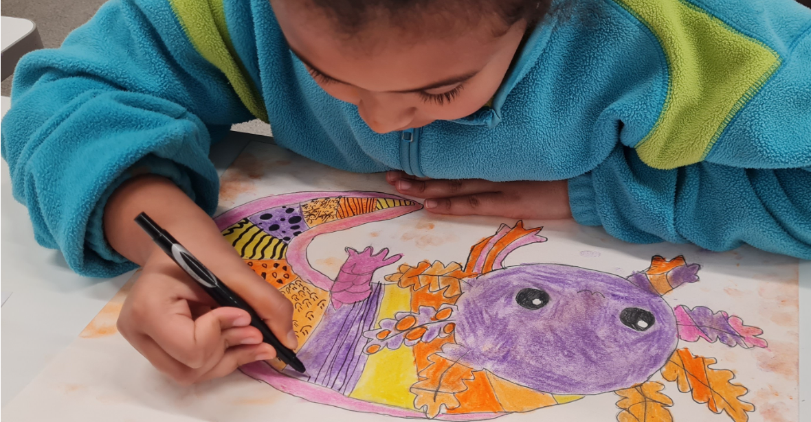 Te Atamira Afterschool Programme - Term 2, 2026