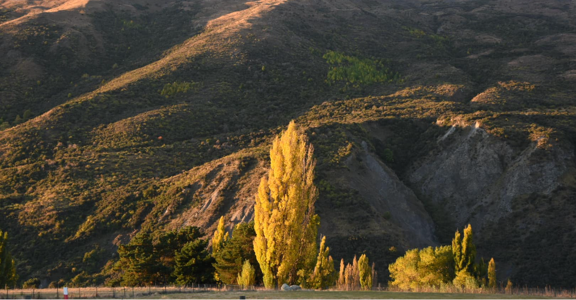 Saturday Arts Social: The Calm of Autumn song session