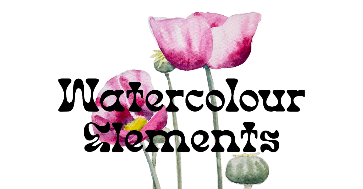 Watercolour Elements - a beginner's watercolour class