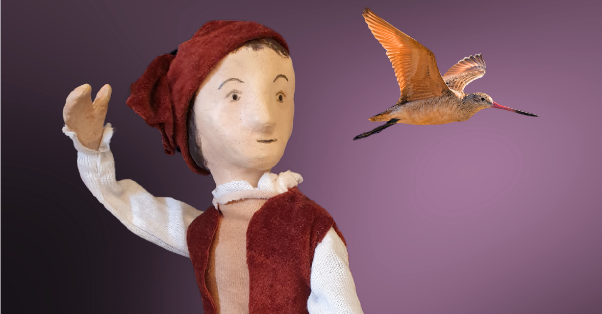 The Boy with Wings (Glenorchy show)