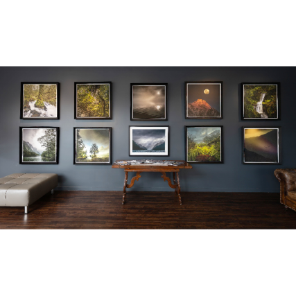 Te Wāhi Toi - Porter Gallery